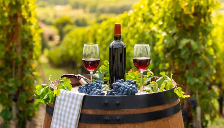 red-wine-vineyard